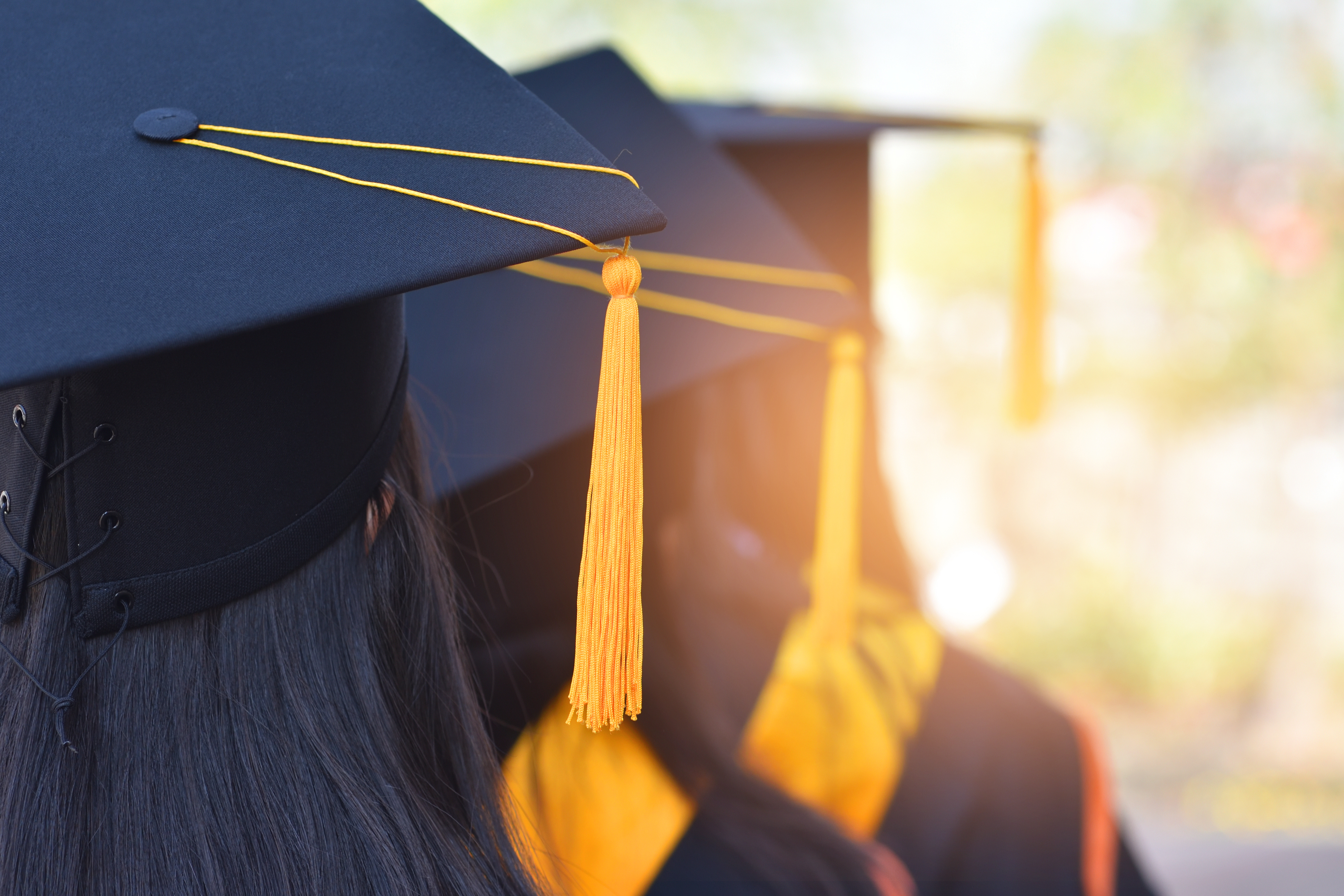 Study Abroad Counseling
